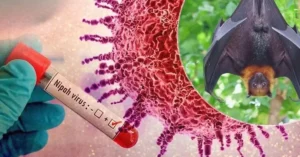 Nipah-Virus-Outbreak-in-India-Puts-Asia-on-High-Alert-Over-Deadly-Spread