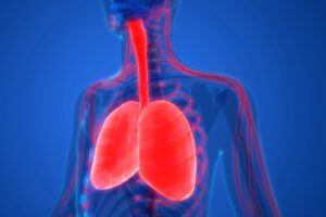 63464d3d86897724c3beace78f2b494920984960-1800x1200