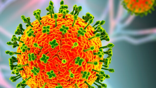 NipahVirusParticles-600x338